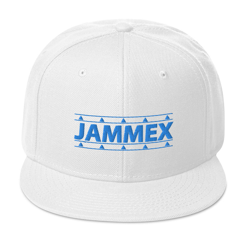 Aqua Label - Embroidered Snapback Hat